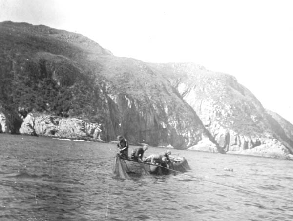 072: "Hauling cod trap at 'Stoney', Red Island".